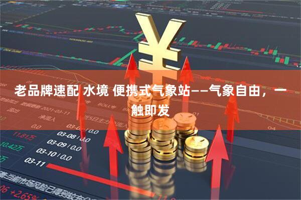 老品牌速配 水境 便携式气象站——气象自由，一触即发